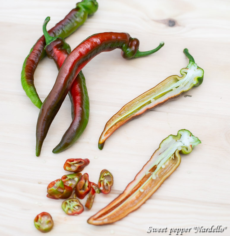 Sweet pepper "Nardello"